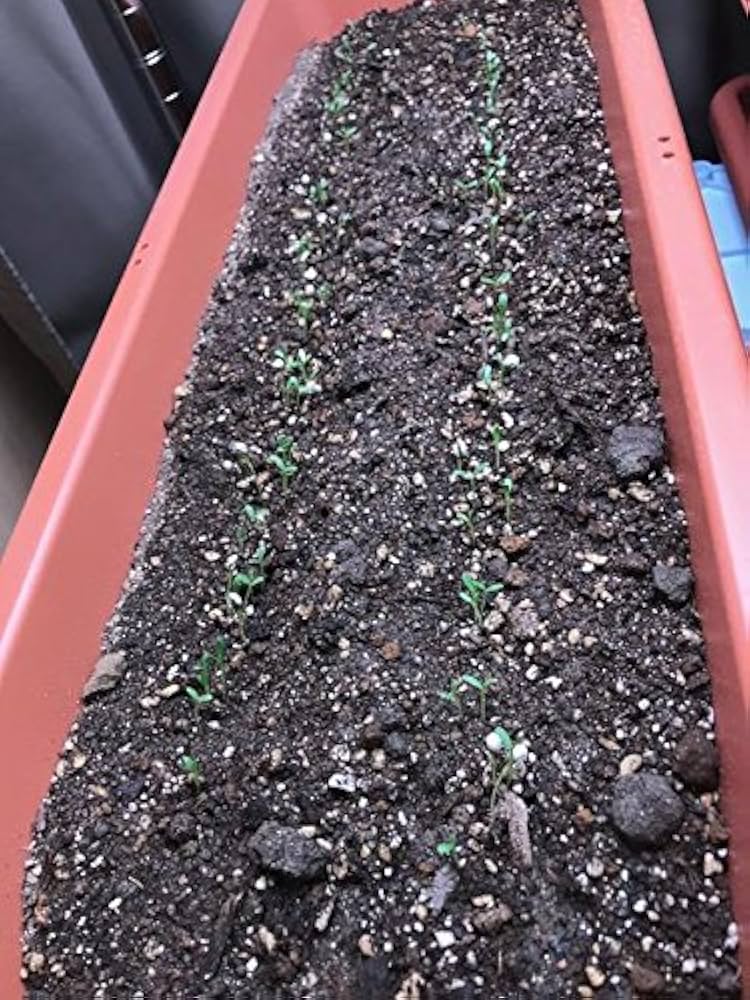 Amazon.co.jp: 植物育成ライト 植物 LED ライト アクアリウム 食育 電